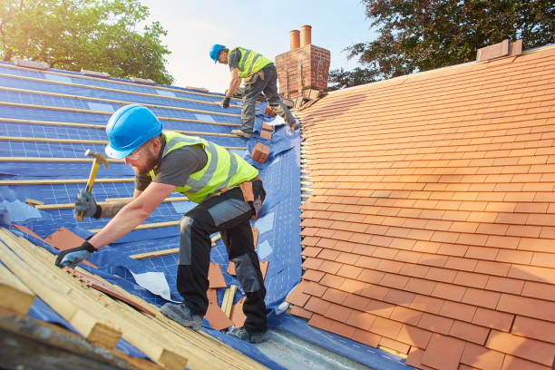 Best Cold Roofs  in Apache Junction, AZ